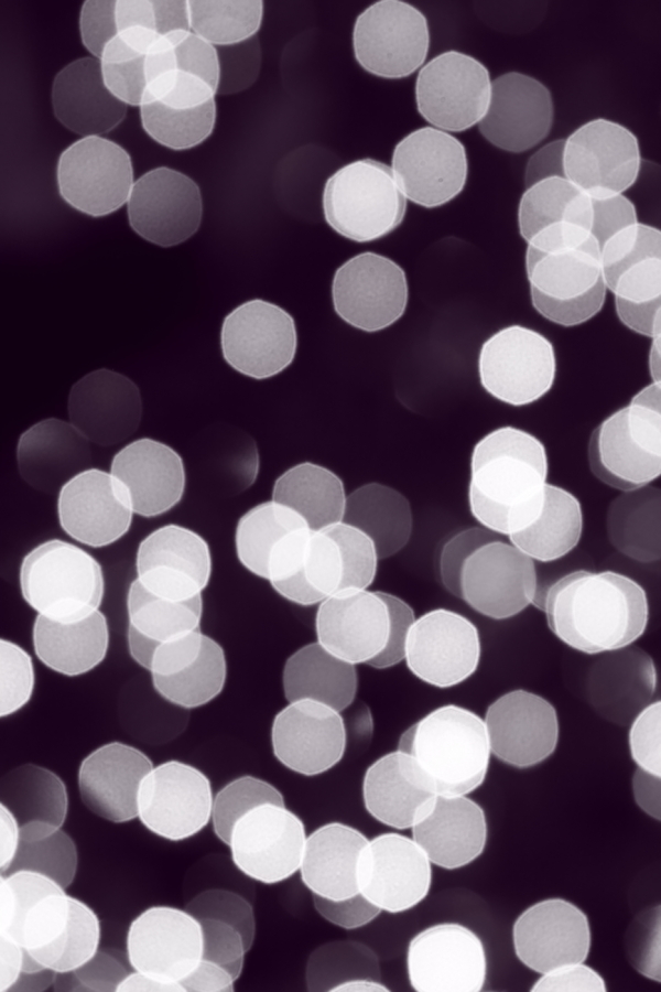 2009 12 23 IMG 5197